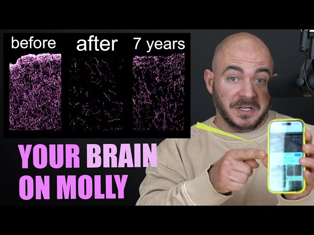 I'm NEVER Touching Molly Again