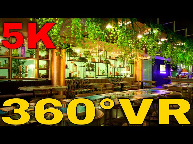 360° VR Drinks Before Home At Chefs Experience Restaurant 5K 3D Virtual Reality HD 4K
