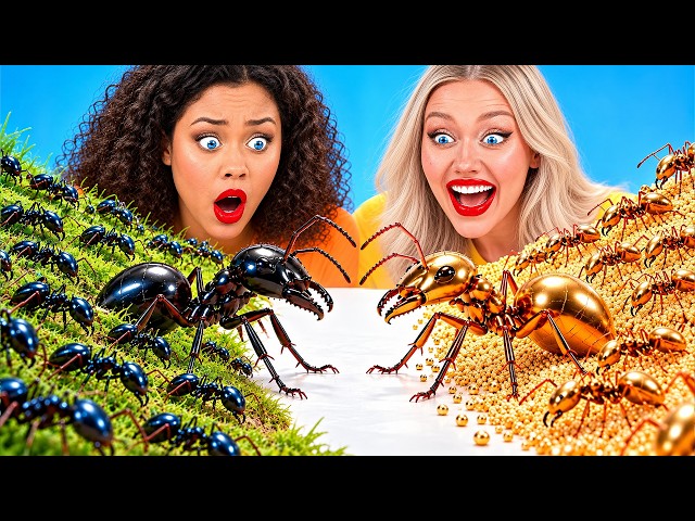 1,000 Ants vs 1,000 Ants | Rich vs Poor Ant Farm Challenge by Multi DO Smile