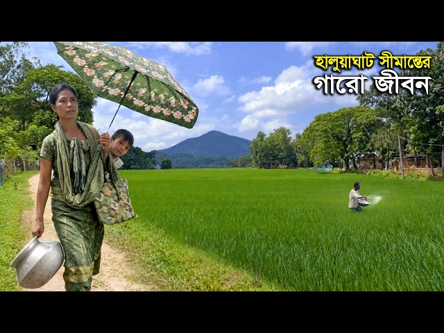 ময়মনসিংহের হালুয়াঘাট সীমান্তের গারো জনগোষ্ঠীর বৈচিত্র্যময় জীবন || Panorama Documentary