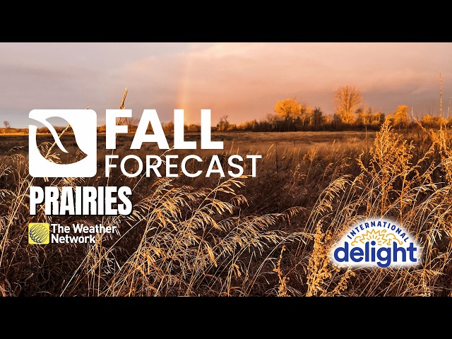 Prairies’ 2026 Fall Forecast: Warmer temperatures on average | #fallforecast2026