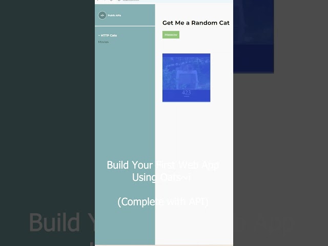 Build your first web app in Oats~i  #coding #javascript #webdevelopment  #javascriptframework