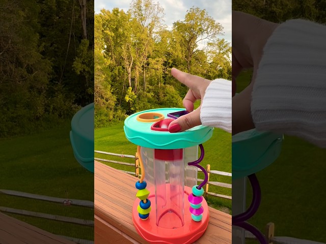 🔺Res Owl shape sorter loop