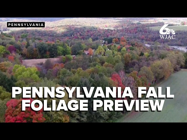 EXPLAINER | Summer rains expected to lengthen fall foliage season in Pennsylvania