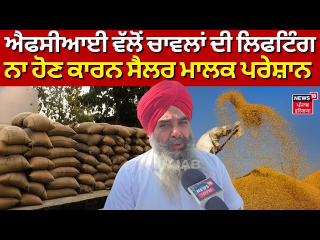Nabha Paddy Lifting | ਐਫਸੀਆਈ ਵੱਲੋਂ ਚਾਵਲਾਂ ਦੀ ਲਿਫਟਿੰਗ ਨਾ ਹੋਣ ਕਾਰਨ ਸੈਲਰ ਮਾਲਕ ਪਰੇਸ਼ਾਨ | N18V