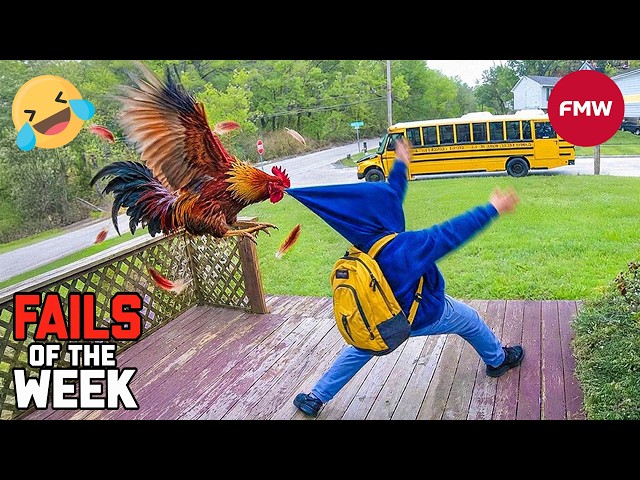 Try Not To Laugh Challenge 😆 Top Funniest Videos of the Week 2026 😅 #278