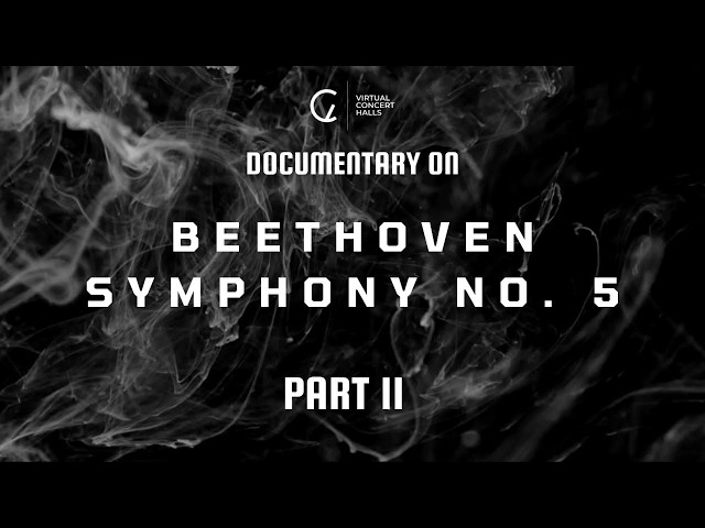 Magnificent Nine! Beethoven Symphony No. 5 in C minor | Part 2