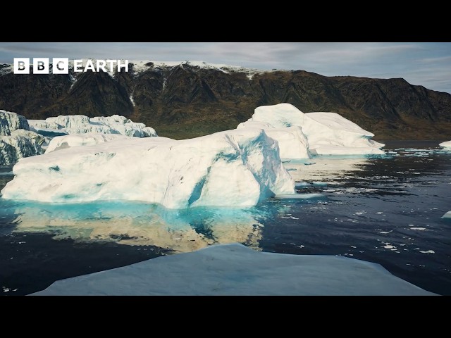 Could Hydrogen Save the Planet? | BBC Earth Science