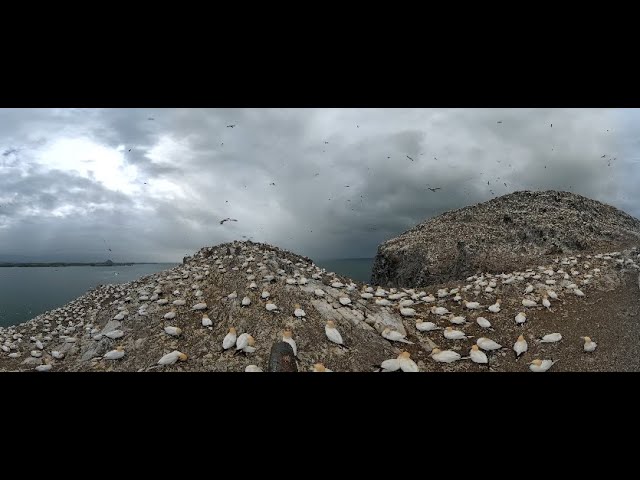 Bass Rock 360 Live Stream