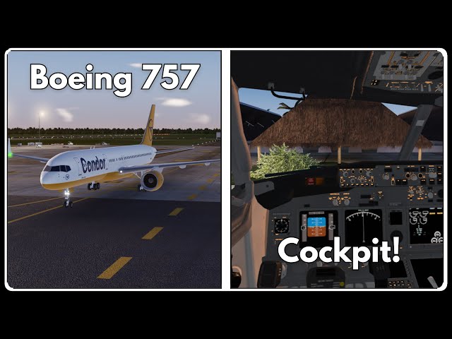 This is the BEST Update EVER! (Project Flight Update #7)