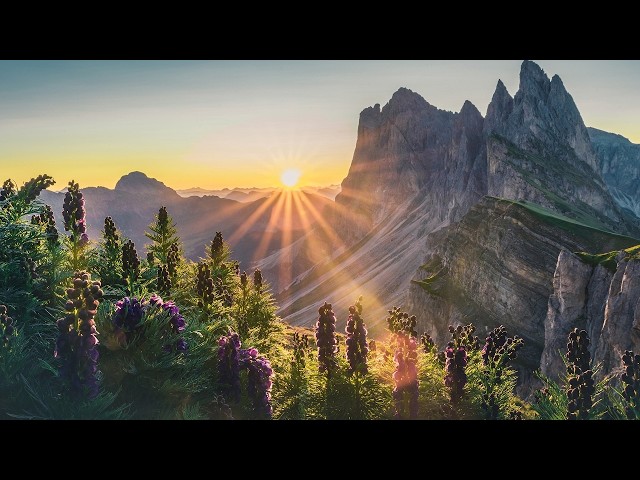 "Aspen Summer Glow" Beautiful Relaxing Music, Peaceful Soothing Instrumental Music by Tim Janis