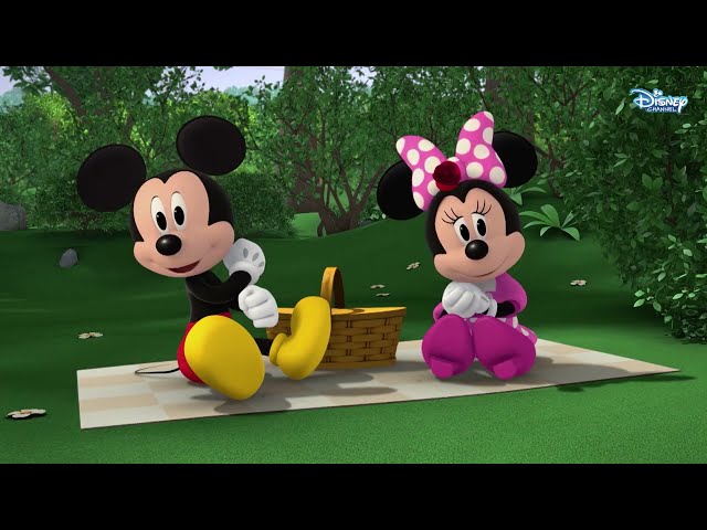 Mickey Mouse Roadster Racers | Mickey's Perfecto Day! | Episode 4 | Hindi | Disney India