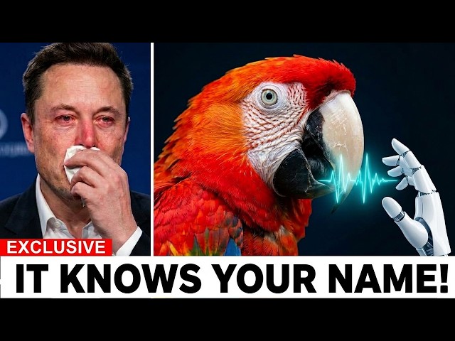Scientists Used AI to Listen to Parrots — What They Say About Humans Was Never Meant to Be Heard