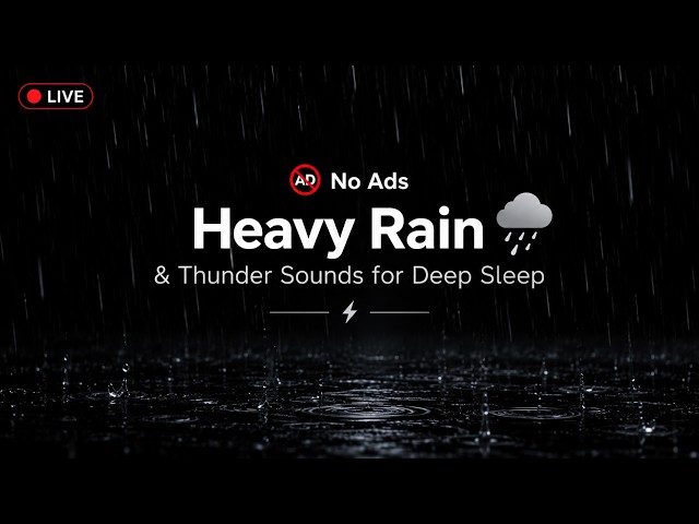 🔴 Rain in the Dark 🌧️ Relax Your Mind | Black Screen • LIVE
