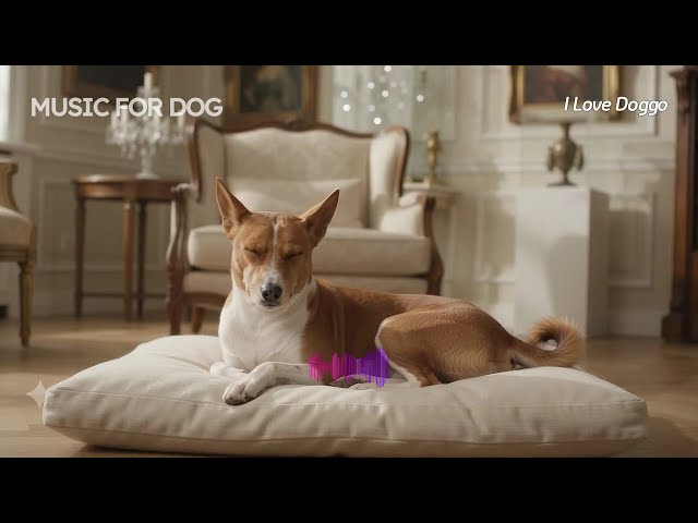 🎵 Calming Music for Dogs | Resting Under Moonlight