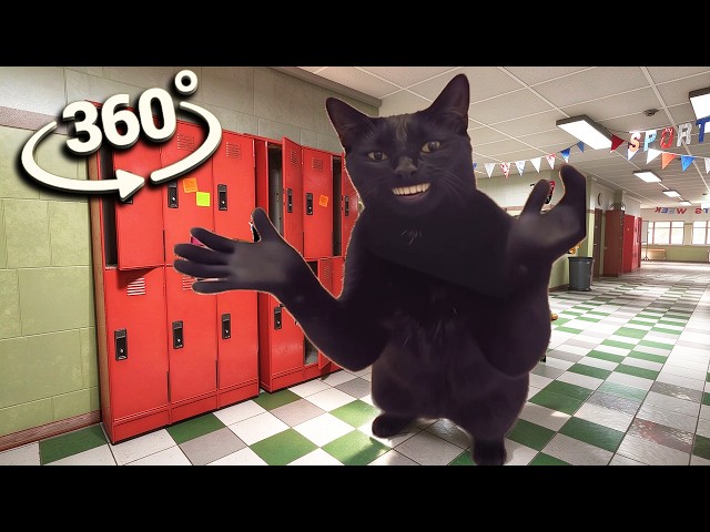 360° VR CLAPPING CAT in CAT MEME SCHOOL