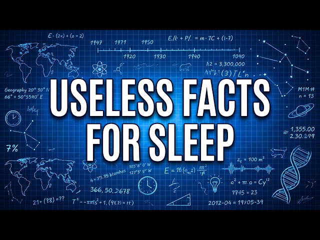 A Solid 3.5 Hours of Useless Information to Fall Asleep To 😴