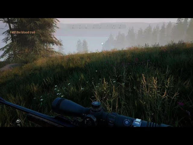 Hunting Simulator 2