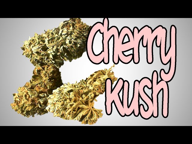 ★★★ NUG PORN ★★★CHERRY KUSH