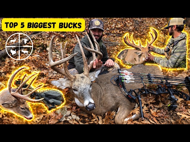 BIGGEST SELF FILMED PUBLIC LAND BUCKS