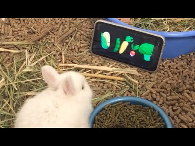 UNUSUAL MEMES COMPILATION V181