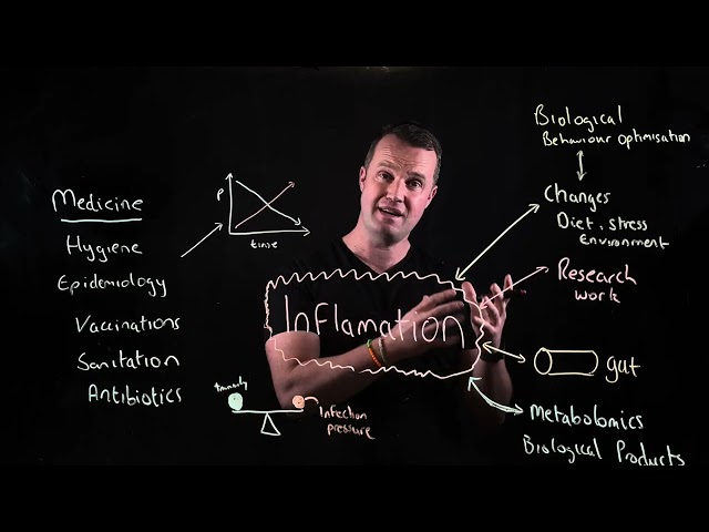 Understanding inflammation in health and disease