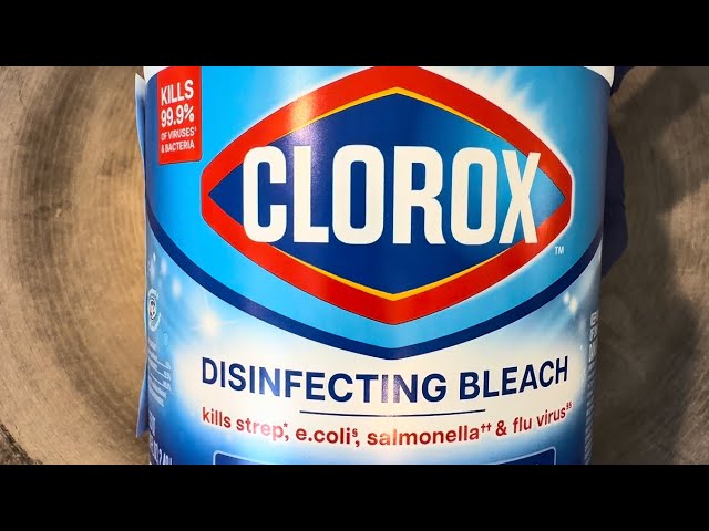 Liquid Bleach and Bleach Powder | ASMR Sponge Squeezing 