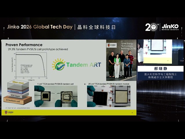 Dr. Xiaojing Hao - Fellow of the Australian Academy of Science and Engineering, Professor at UNSW