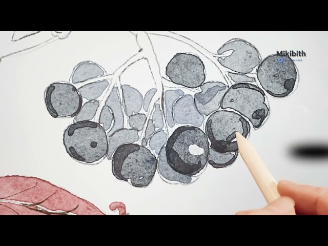 Floral Pattern in Procreate