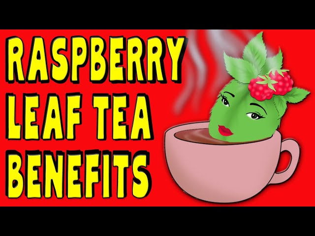 10 Amazing RASPBERRY LEAF TEA Benefits for pregnancy & more - How good is it really?