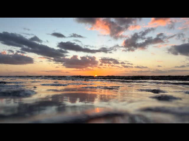 Waves of Peace: Relaxing Music for Mindful Meditation.