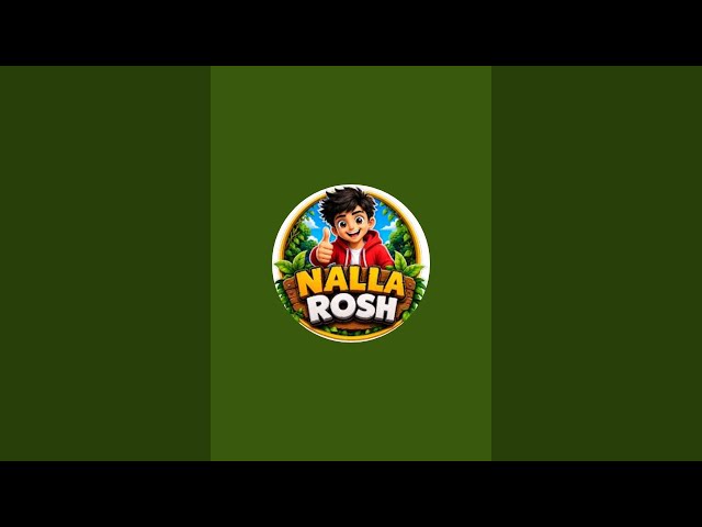🐦 Tuntuni Chiraiya 10 Colour PNG 🔴 LIVE STREAM | Titan Cartoon Channel 🎨