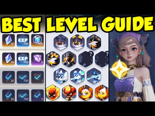 BEST ANIIMO LEVELING GUIDE! Fastest Way To Get Experience In Aniimo!