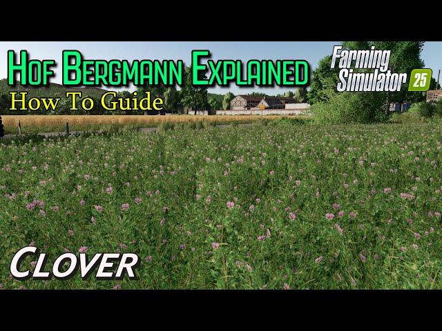 Hof Bergmann Explained | Clover | Farming Simulator 25