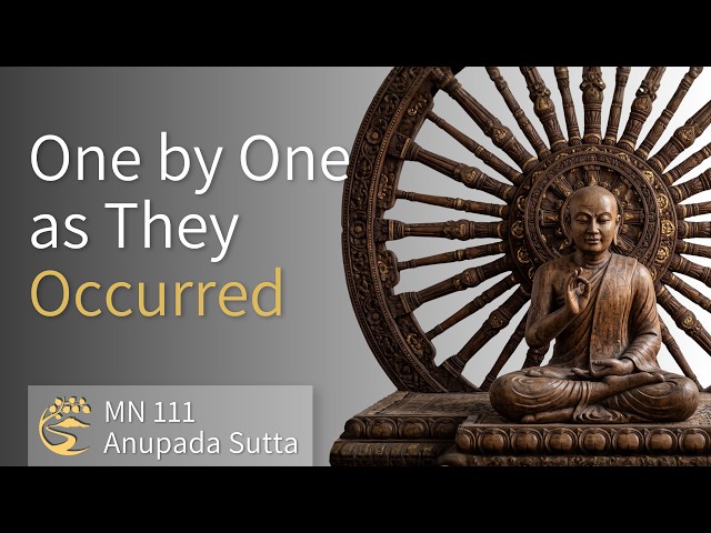 MN 111: Anupada Sutta - A Mind Made Limitless | 10-Minute Majjhima