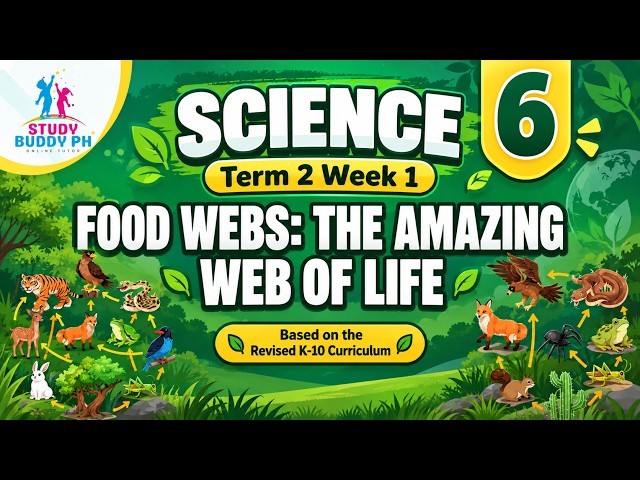 Science 6 Term 2 Week 1: FOOD WEBS: The Amazing Web of Life
