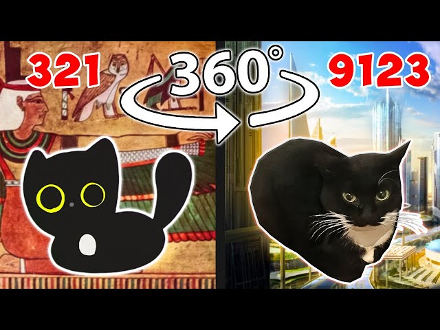 Evolution of Maxwell Cat 360° Video VR 360 🙀💥