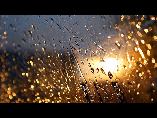 Heavy Rain and Thunder Sounds for Sleeping Loop | Free Sound Effects | Ambient Sounds