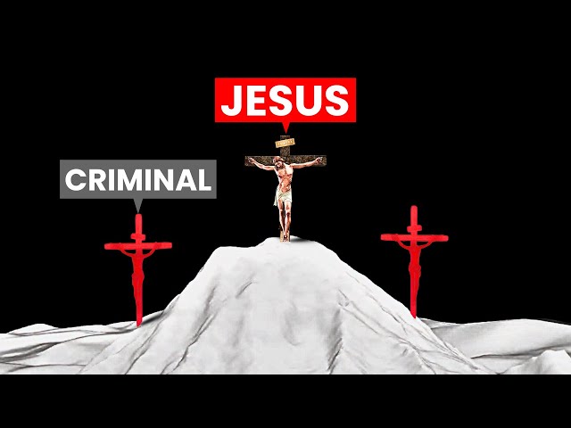 The Life of Jesus Christ (like you've never seen it before)