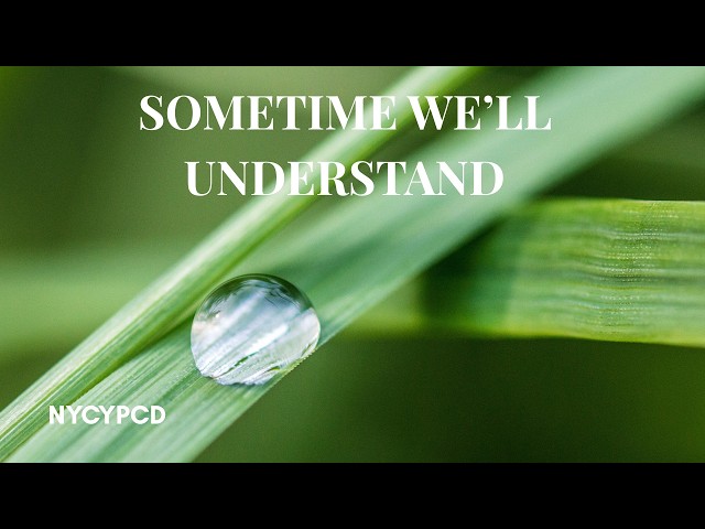 Sometime, we'll understand