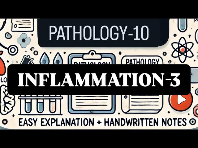 Inflammation-3 | Pathology-10| with easy explaination and handwritten notes.