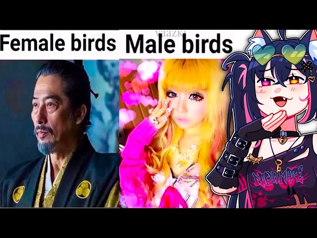 MEN IS THIS TRUE?! 😂 (Funny Memes)