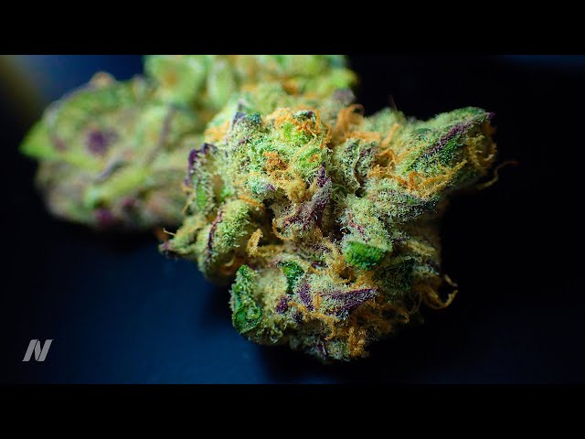 Does Marijuana Cause Strokes and Heart Attacks?