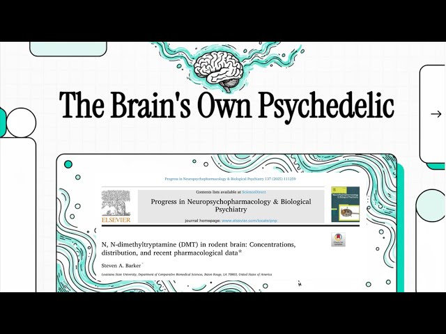 DMT in the Brain: The Brain s Own Psychedelic (Barker, 2025)