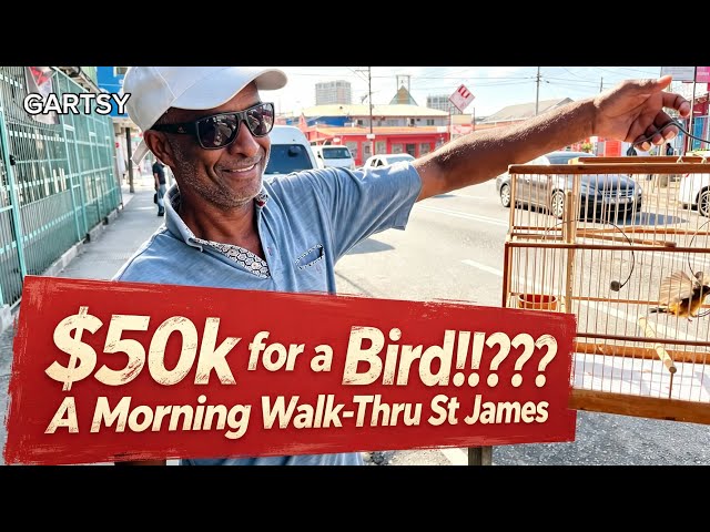 Walk-thru NW Port of Spain on a School Morning