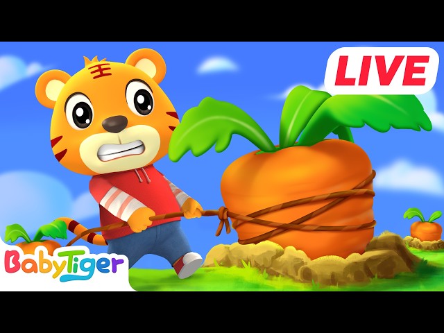🔴 LIVE 24/7 | Slow English Listening Stories for Beginners (A2) | Safety Lessons • Daily Life #7