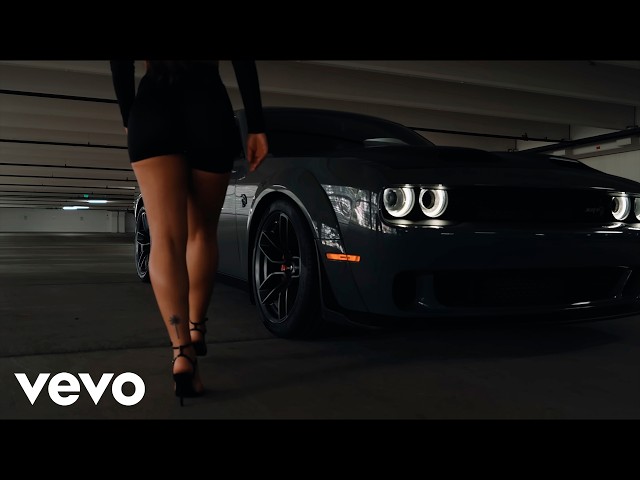 Serhat Durmus - Hislerim (ft. Zerrin) | TARVYN Remix