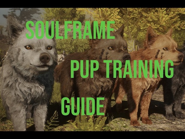 Soulframe | Puppy Training Guide