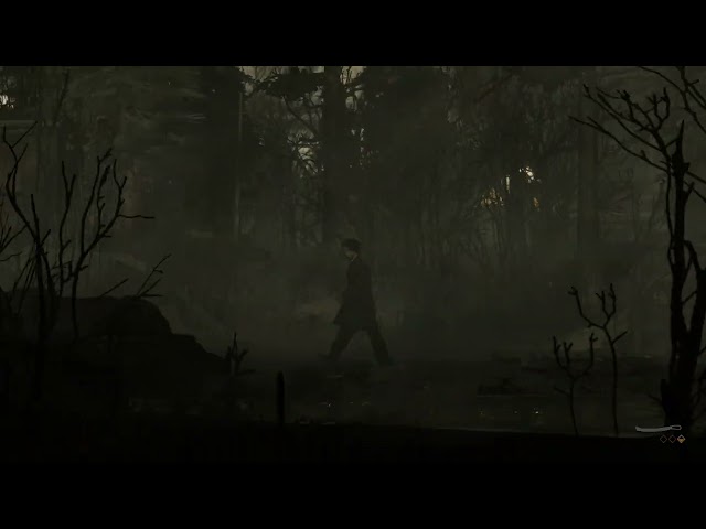 Finding Town Hall, &  Rusty Blade Weapon but no Boss in Silver Pines Part 24 No Comments