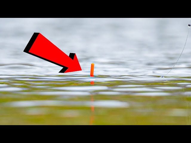Pole Floats That You CAN See! | The NuFish BIG TOP Float Range - Explained!